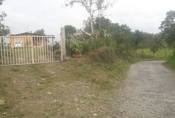 Terreno Comercial en  Santo Domingo De Los Tsáchilas, Ecuador