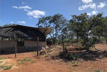 Lote de Terreno en  Muna, Yucatán, México