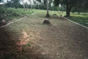 Lote de Terreno en  Barra Vieja, Guerrero, México