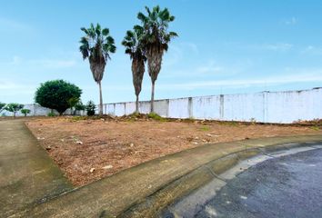 Terreno Comercial en  Ciudad Verde, Machala, Ecuador