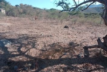 Lote de Terreno en  Pueblo El Campamento, Amacuzac