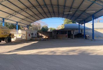 Nave en  Pueblo Tlaltizapan De Pacheco, Tlaltizapán De Zapata