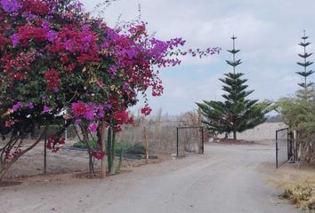 Terreno en  La Yarada Los Palos, Tacna, Per