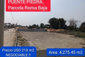 Local industrial en  Calle Mariscal Gamarra, Puente Piedra, Lima, 15121, Per