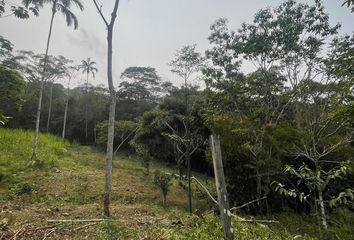 Terreno en  San Roque De Cumbaza, Lamas