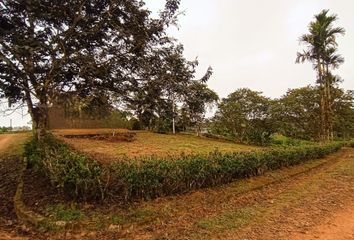 Terreno Comercial en  3xj7+r4h, Pedro Vicente Maldonado, Ecuador