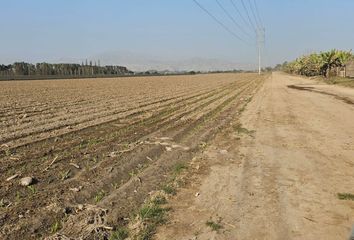 Terreno en  Alto Laran, Chincha, Ica, Per