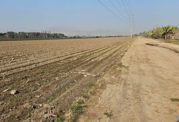 Terreno en  Alto Laran, Chincha, Ica, Per