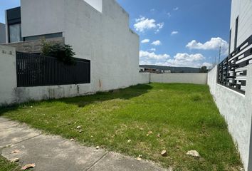 Lote de Terreno en  Cto. Del Bosque 236-300, Bosques Vallarta, Zapopan, Jalisco, México