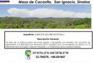 Lote de Terreno en  Meseta De Cacaxtla, Sinaloa, México