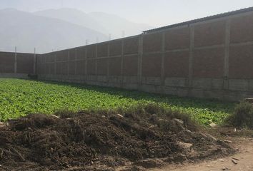 Terreno en  Jose Leonardo Ortiz, Chiclayo