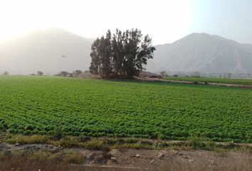 Terreno en  Santa Rosa De Quives, Canta