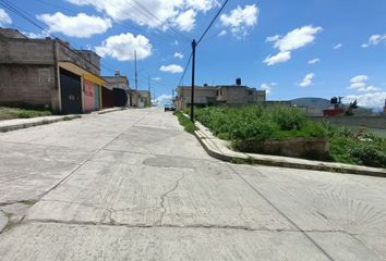 Lote de Terreno en  La Conchita, Vicente Guerrero, Apan, Hidalgo, México