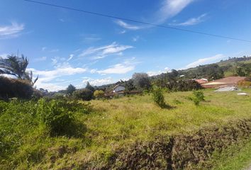 Lote de Terreno en  Vereda Las Garzonas, Río Negro-el Carmen De Viboral, El Carmen De Viboral, Antioquia, Colombia