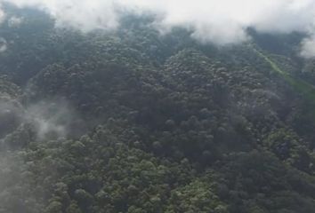 Hacienda-Quinta en  Mindo, Ecuador