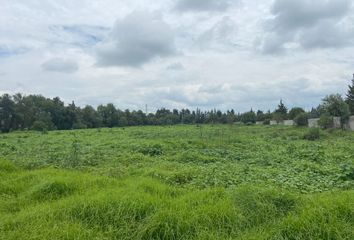 Lote de Terreno en  Teoloyucan, Estado De México, México