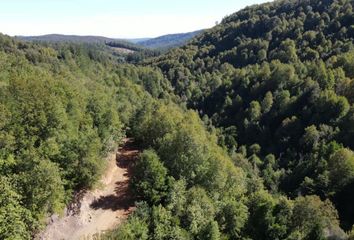 Parcela en  Pinto, Ñuble (región)