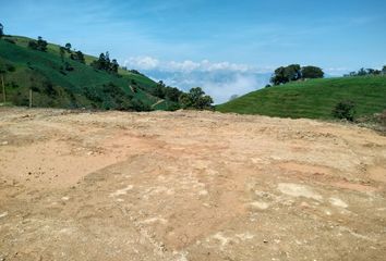 Lote de Terreno en  Pantanillo, San Pedro De Los Milagros, Antioquia, Colombia