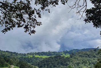 Lote de Terreno en  Sierra Del Tigre, Alto, Mazamitla, Jalisco, México