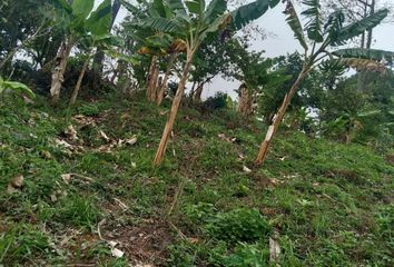 Villa-Quinta en  Líbano, Tolima