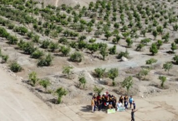 Terreno en  Palpa Huaral Lima, Palpa, Perú