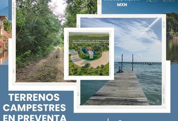 Lote de Terreno en  6wx6+5m Cancún, Quintana Roo, México