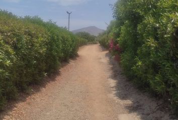 Terreno en  La Isla Alta De Asia, Asia, Cañete, Perú