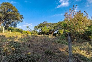 Lote de Terreno en  Pueblo Santo Domingo Ocotitlán, Tepoztlán