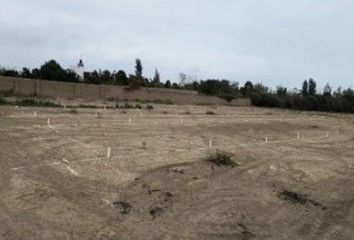 Terreno en  Sunampe, Chincha