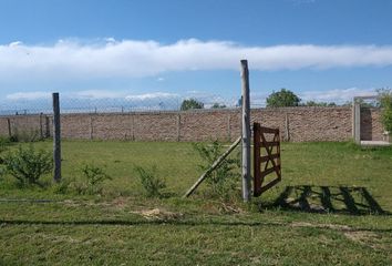 Terrenos en  37x9+hq Corralitos, Mendoza, Argentina