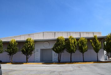 Nave en  Pabellón De Zapotlan S.p.r De R.l., México - Pachuca, Tolcayuca, Estado De Hidalgo, México