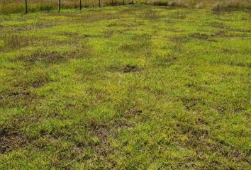 Lote de Terreno en  Hacienda San Juan Hueyapan, San Juan Hueyapan, Huasca De Ocampo, Hgo., México