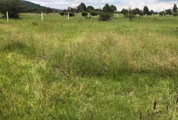 Lote de Terreno en  San Juan Hueyapan, Hgo., México