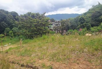 Lote de Terreno en  Villas De San Carlos, Santa Rosa De Cabal, Risaralda, Colombia