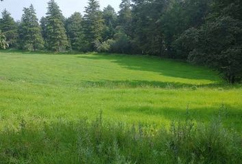 Lote de Terreno en  San Juan, Apaseo El Grande