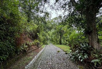 Lote de Terreno en  Coatepec Centro, Coatepec, Veracruz