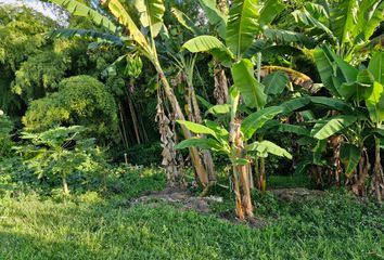 Casa en  La Tebaida, Quindío