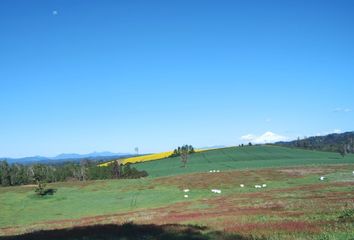 Parcela en  Villarrica, Cautín