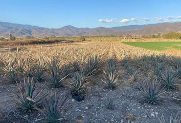 Lote de Terreno en  Santa María Del Tule, Oaxaca, México