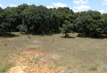 Lote de Terreno en  Woodzen Villa Del Carbon, Loma De Las Cuevas, Santa Catarina, Villa Del Carbón, Estado De México, México