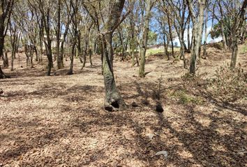 Lote de Terreno en  San Martín Cachihuapan, Estado De México, México