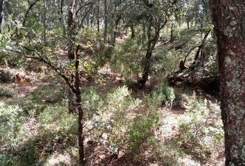 Lote de Terreno en  Villa Del Carbón, Estado De México, México