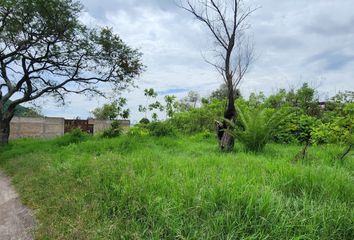 Lote de Terreno en  La Alcantarilla, San Francisco, San Isidro Mazatepec, Tala, Jalisco, Mex