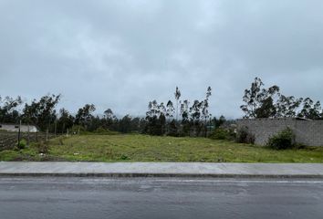 Terreno Comercial en  Quiroga, Cotacachi