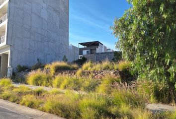 Lote de Terreno en  Villa Magna, San Luis Potosí, México