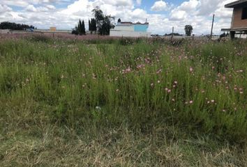 Lote de Terreno en  Calle Mariano Mota, Tepalcayuca, El Carmen, Amozoc De Mota, Amozoc, Puebla, 72983, Mex