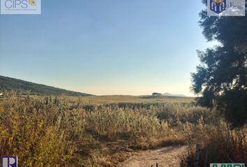 Lote de Terreno en  San Agustin, Tlajomulco De Zúñiga