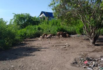 Lote de Terreno en  Tierra Bomba, Provincia De Cartagena, Bolívar, Colombia