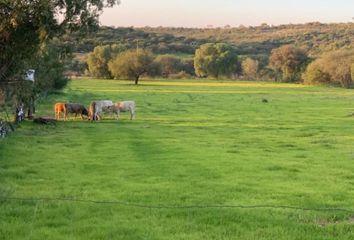 Rancho en  Xoconoxtle El Grande, Guanajuato, México