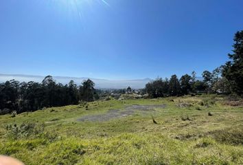 Terreno Comercial en  Conocoto, Quito